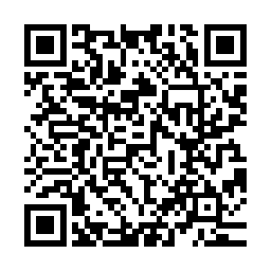 只是这一爪和一剑相撞的声音就令周围的融合兽被震得头昏脑涨二维码生成