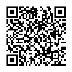 只是这样的隼差不多都比得上传说中的龙鹰了……二维码生成