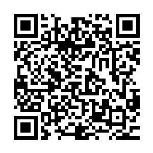 只是这样豪迈的王者气势在见到墨修尧的小脸那瞬间消失无踪二维码生成