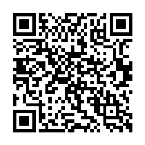 只是那双美眸中隐着精明和算计破坏了这份美丽二维码生成