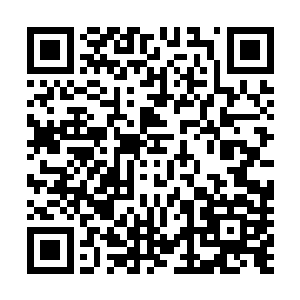 只是那深海远古水母感应到的雷电巨大威胁是从何而来的呢二维码生成