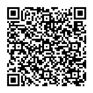 只是龙傲天不知道的是偏屋中一双眼睛看着他们的背影发出了即羡慕又幽怨的眼光二维码生成