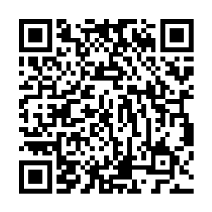 只有一条木头搭建的栈道弯弯绕绕的在荷塘当中扭了好多折二维码生成