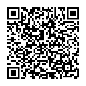 只有不远处的地面上躺着一具已经被打得稀烂的尸体……那尸体明显不是秦方的二维码生成