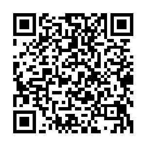 只有大约不到一半的仙人继续跟着第七仙府的仙人往深处而去二维码生成