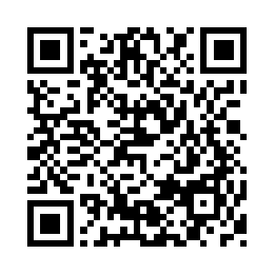 只有宗圣一口咬定文功不得计入两人比试二维码生成