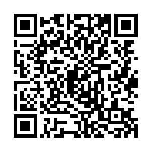 只有张元那种不能在东华门唱名的混账才会在乎西夏的官职二维码生成