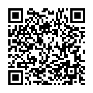 只有当一国有着绝对的力量占据象州而不会再失去后二维码生成