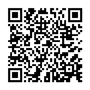只有曾经与沈凡交过手的人才知道沈凡有多么的可怕二维码生成