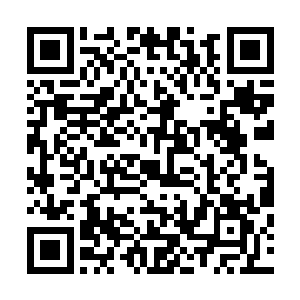 只有紧张看向穆根的多比和专心打量教室的穆根没有注意到二维码生成