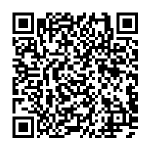 只有花仙子带着天香宗的修士此时脱离了人族的队伍来到了仙主脚下的空中二维码生成