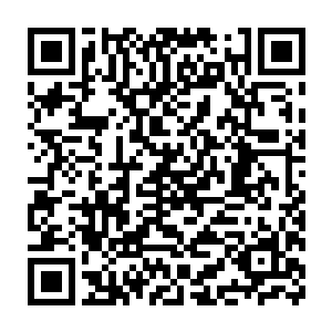 只有许紫烟因为有一些领悟了青木之意中的生生不息而显得轻松自如二维码生成