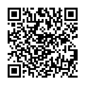 只用了几万年的时间就跨越了玄神达到了神王的水平二维码生成