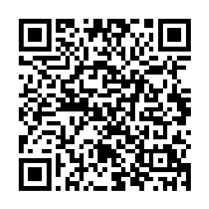 只看到四根支柱卡槽上的扫描装置开始飞快的上下移动二维码生成