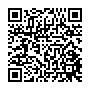 只眼角余光看到那个刚刚经过的贫民区路口出现了几个无角青年二维码生成