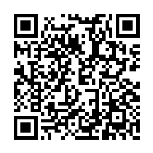 只简短的描述了一下自己和东阳家族的大概恩怨二维码生成