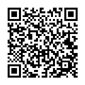 只能按照比赛既定流程解说分析大屏幕上已经开始的ban选二维码生成