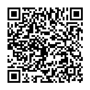 只能木讷的被动接受着这个被人袭杀的事实……黑夜的速度非常快二维码生成