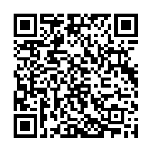 只能用手中的手电小心翼翼的在别墅里面寻找了起来二维码生成