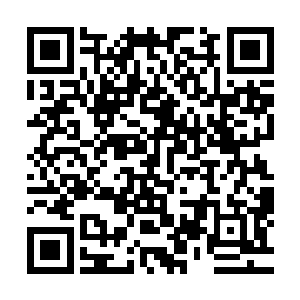 只能被动接受实验的二号唯一的主动权就是给自己谋取福利了二维码生成