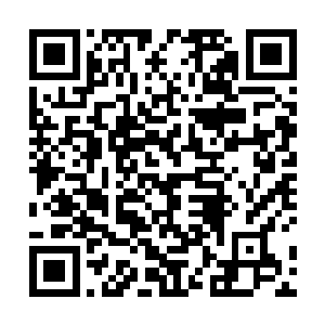 只能说当初千算万算没想到青主会把苗毅给扔到鬼市来二维码生成