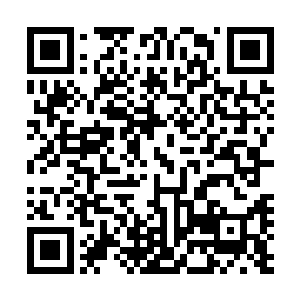 只要不是什么传送的问题导致小韵儿没跟过来就没什么关系二维码生成