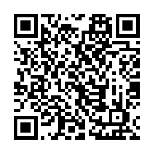 只要他们稍微的一干预的话我们的处境就十分的不妙了二维码生成