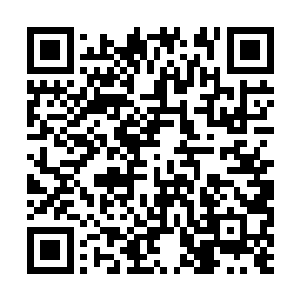 只要我们五个能够在最后的环节把你们的胸牌撕掉二维码生成