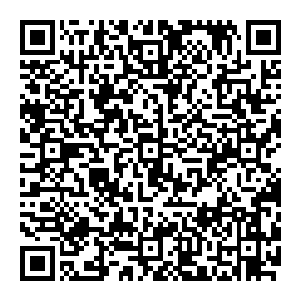 只要杀了伊莎贝拉 按照我国的法律 我就会成为桑巴国的国王 到时候我将可以动用全国的财力物力來帮助破晓 你还在犹豫什么 二维码生成