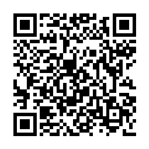 只要柳珪杨元赞两位大将军没有跟黄宋濮撕破脸二维码生成