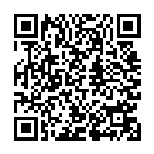 只要生鱼片事先把低音区的核心作用点和作用半径告诉他二维码生成