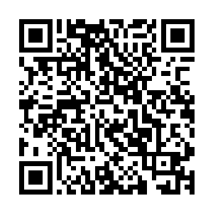 只要能巴结上他……他手指缝露出的银钱就够咱们一家嚼用了二维码生成