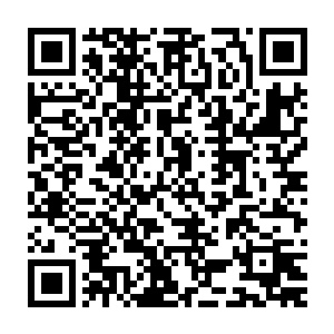 只要见到此信号的天涯阁门人无论在做什么都要放下手中的活赶过去二维码生成