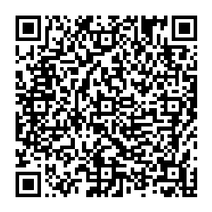 只见他们神出鬼没慢慢的出现在敌人的身后干净利落的抹掉敌人的脖子然后迅速隐退寻找下一个目标二维码生成