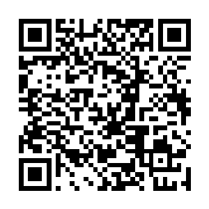 只见以赤木城为首的三方势力已经对亚木城发动了攻击二维码生成