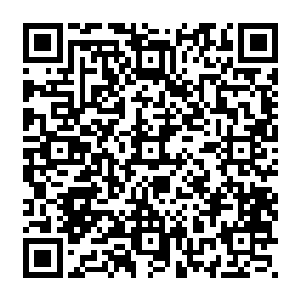 只见又一名中年教官似乎实在有些看不惯林辰那无所谓的态度以及充满挑衅的话语二维码生成