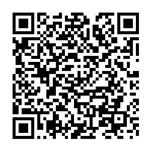 只见呗火焰笼罩的那些药材此时在火焰的笼罩之下开始缓缓的融化二维码生成