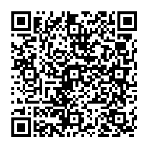 只见就在嫉妒以为可以凭借善恶树和生命树的力量驱逐懒惰和灰烬体内的毒素之时二维码生成