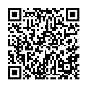 只见巨象仙宗的宗主率领宗门数十万金仙境以上的弟子二维码生成