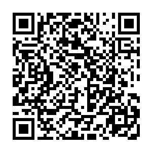 只见整个坑里密密麻麻的全都是毒蛇还有各种就连他们都叫不上名字的毒物二维码生成