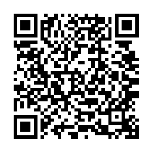 只见杨开不知何时已将摆放在桌子上的果盘端到了自己面前二维码生成