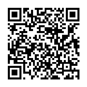 只见程国栋还有另外几名保镖将两名中年男子挡在外面二维码生成