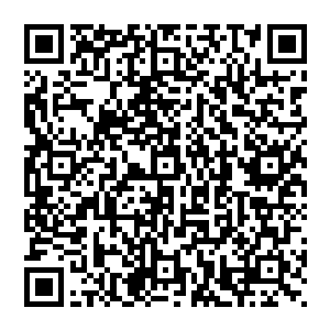 只见紫色的光幕上面也是开始出现了一道道清晰可见的裂痕混沌紫莲在这恐怖的风暴中仿佛一叶扁舟一般二维码生成