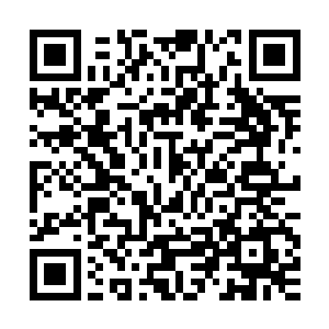 只见苗毅揪住罗双飞强行从他衣衫下面拽出了那只兽囊掐在手里二维码生成