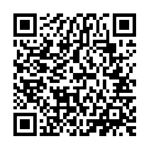 只见逆水盟的楚归元正跟救走谷连一他们的中年男子斗在一起二维码生成
