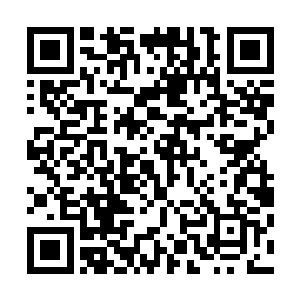 只见那座仿佛是前方的造化塔缩小了无数倍的塔形石碑之上二维码生成