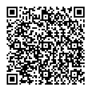 只觉得有什么东西从头上飞了过去那是被来人抛飞的战马背上的女人王敢从地上一滚便爬起来二维码生成