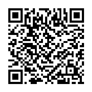 只记得沈迟似乎和小年糕说了什么把他打发走了二维码生成