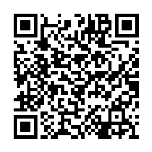 只须让蒋钦将这几个月的事务向皇上禀告就行了二维码生成