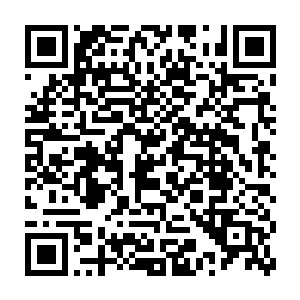 叫市公安局副局长秦楷同志把曾绍伟罩的那些场子案例交给了曾绍伟二维码生成